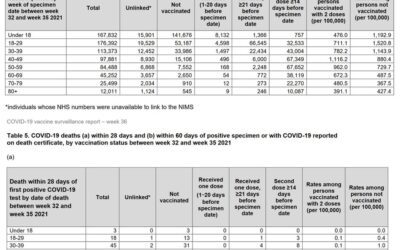 From the UK’s government Public Health England, COVID-19 Vaccine Surveillance Report Week 36