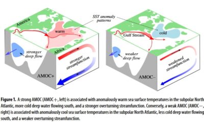 Can we trust projections ofAMOC weakening based onclimate models that cannotreproduce the past?